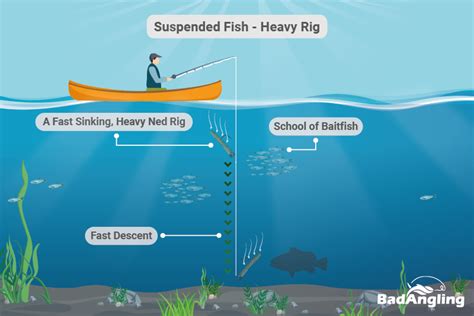 gill fishing|How To Fish a Micro NED RIG for Big Bluegill & Bass (UltraLight).